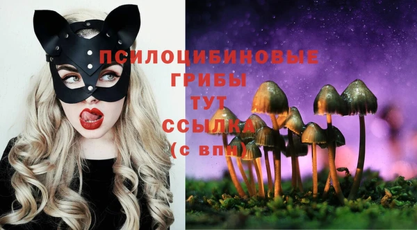 гидропоника Верхний Тагил